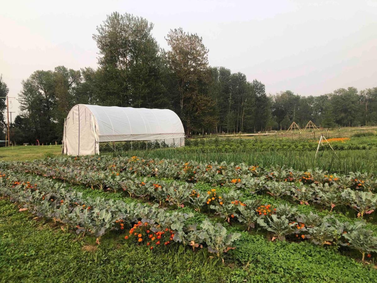 מלון בוזמן Bodhi Farms מראה חיצוני תמונה